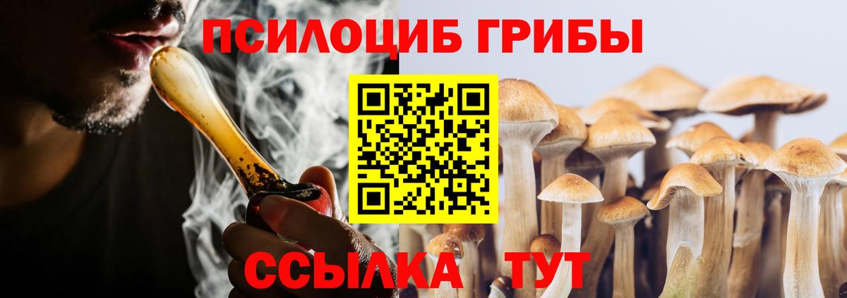 Псилоцибиновые грибы GOLDEN TEACHER Мурино